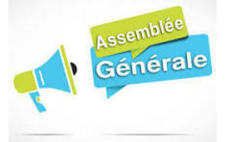ASSEMBLEE GENERALE EXTRAORDINAIRE